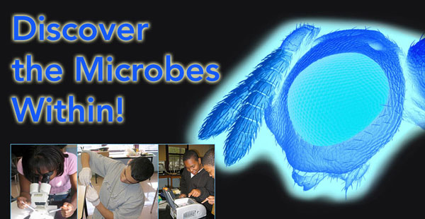 Discover the Microbes Within!