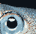 Squid Eye