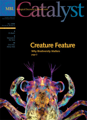 Catalyst, Fall 2009: Volume 4, Number 2