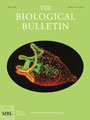 Biological Bulletin