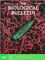 The Biological Bulletin